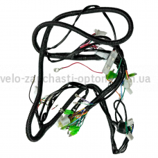 Проводка в зборі GY6 50-80 / B08 B09 JJ50QT GO