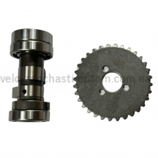 Распредвал вал із зіркою Дельта 110 JWBP