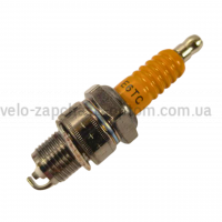 Свічка запалювання E6TC (2T) M14 TRW з іржою